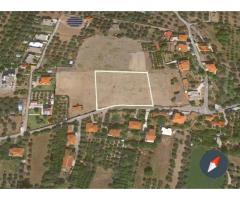 Πωλείται οικόπεδο από 2 έως 6 στρέμματα 80.000 € / στρέμμα Ναύπακτος