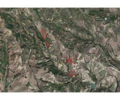 Αγροτεμάχια Γρεβενά - Εικόνα 7